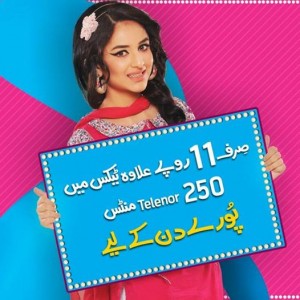 Talkshawk Full Day Offer