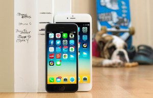 Apple's iPhone 6 & iPhone 6 Plus