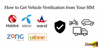 How to Get Vehicle Verification from Your SIM